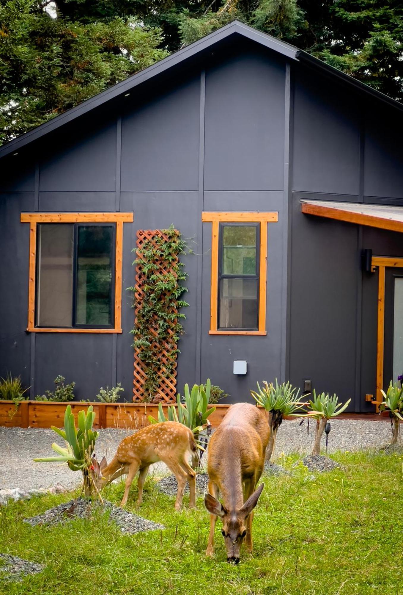 New, Modern, Country-Feel, Close To Arcata Exteriör bild