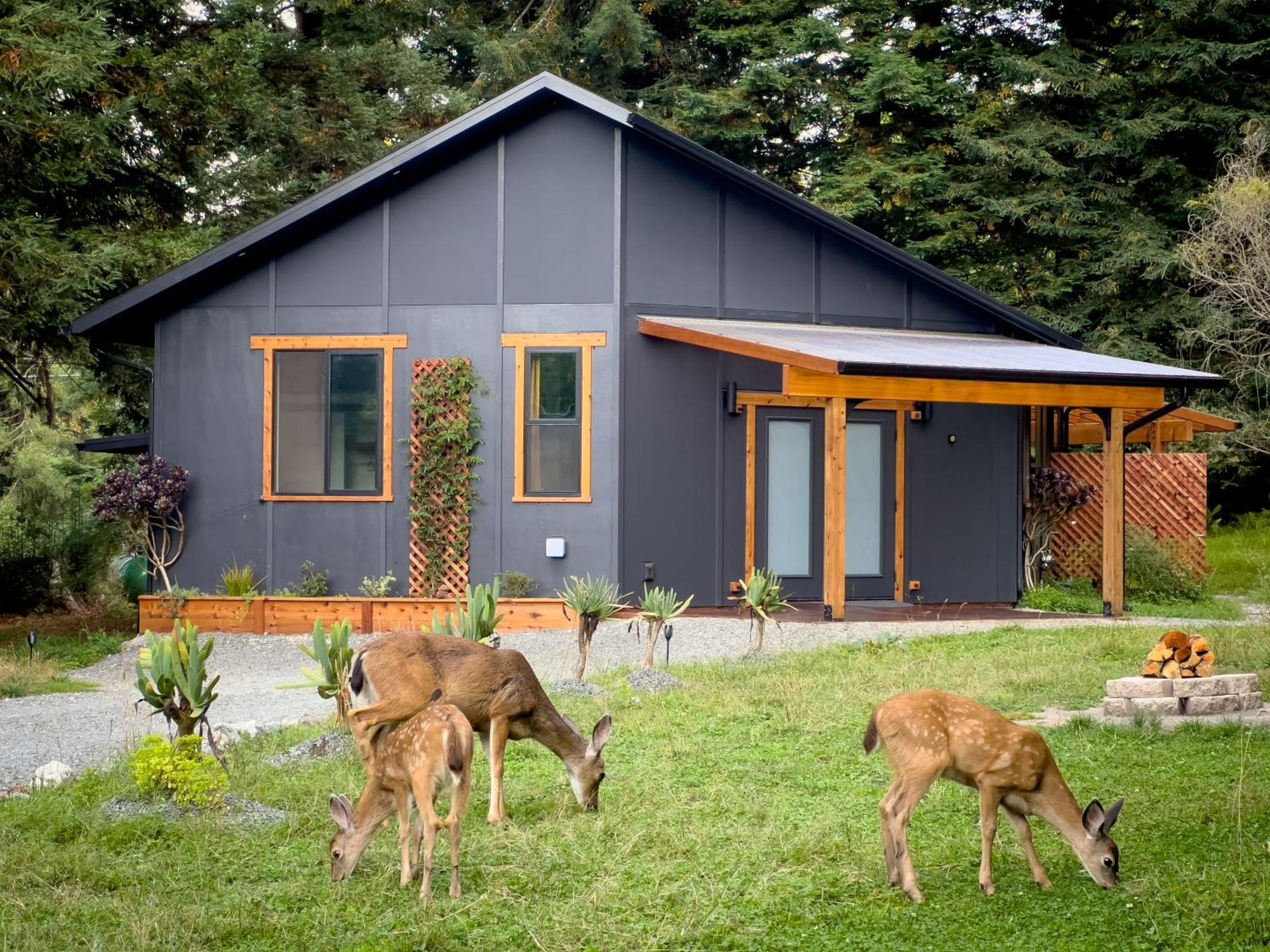 New, Modern, Country-Feel, Close To Arcata Exteriör bild
